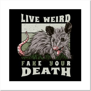 Live Weird Fake Your Death Opossum Posters and Art